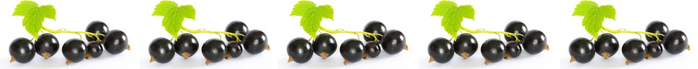Superfruits in Skincare: Blackcurrant