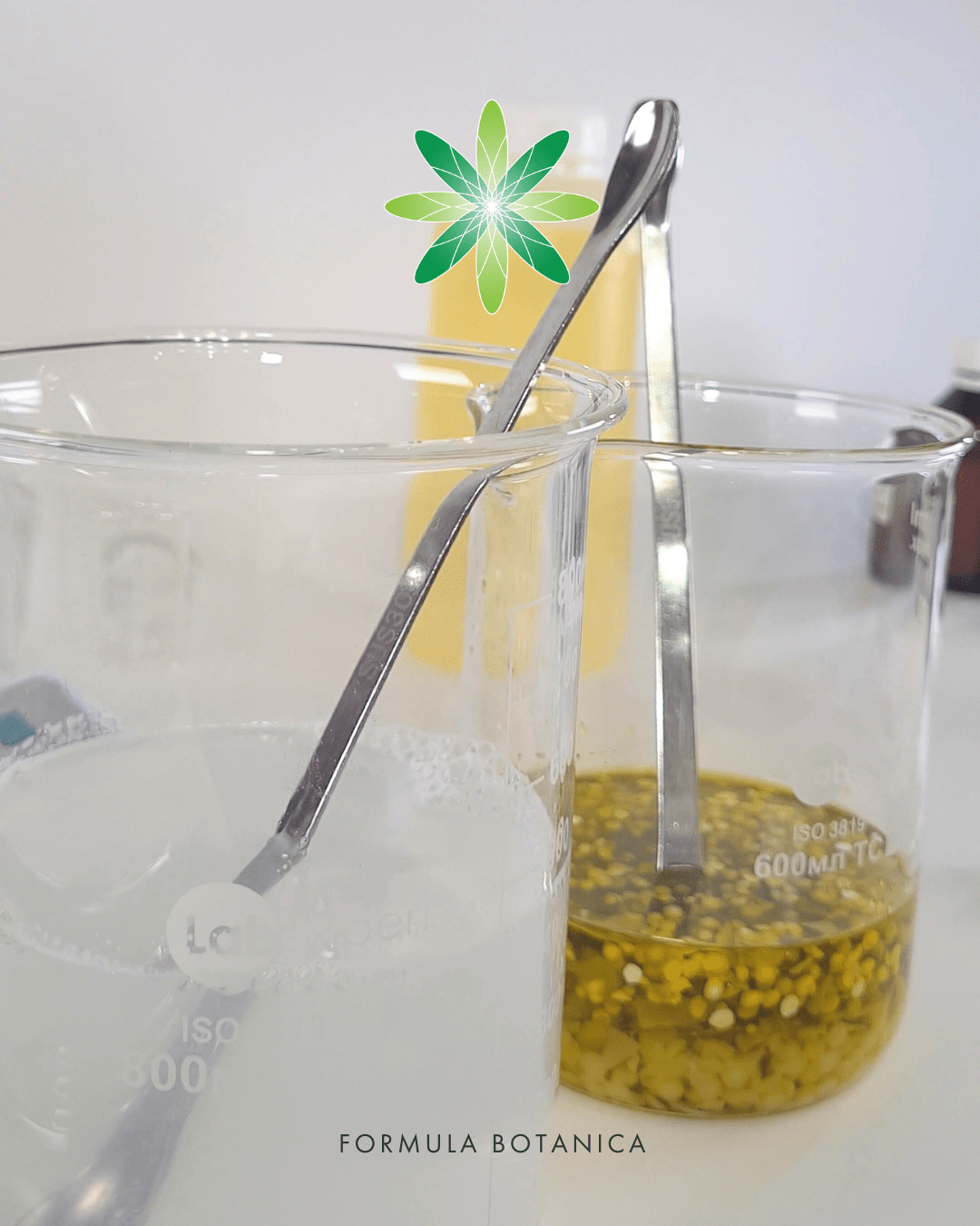 How to make a 2-in-1 avocado cleansing milk