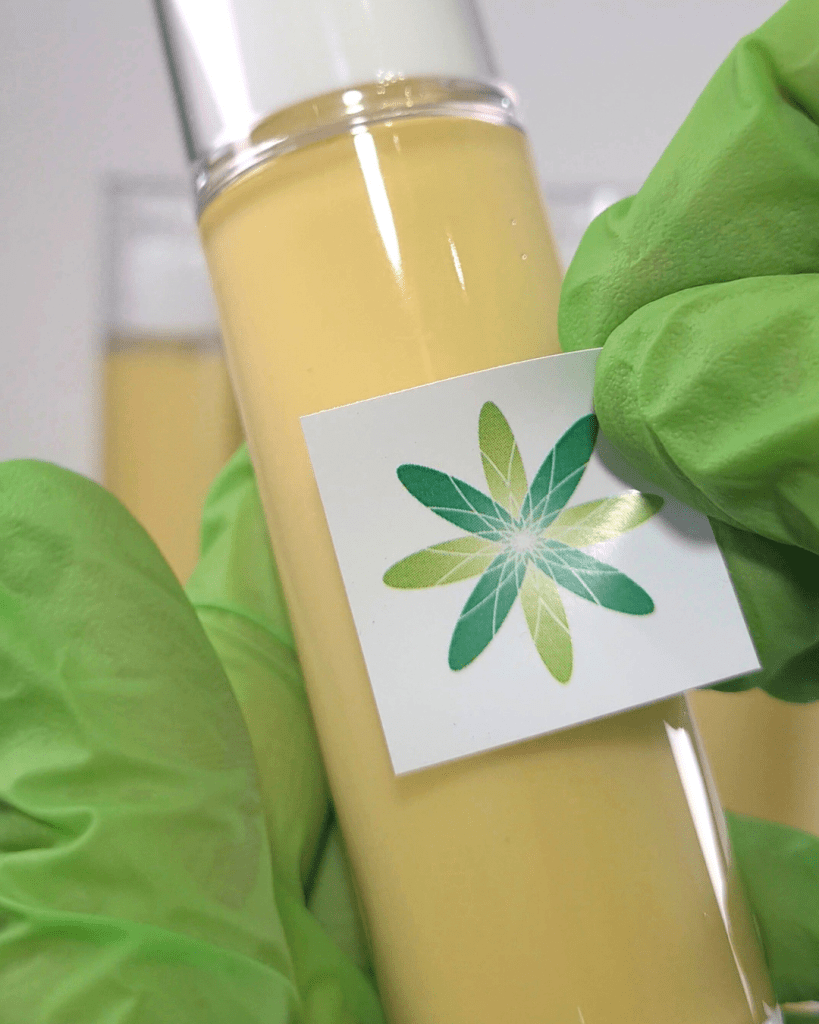 How to make a 2-in-1 avocado cleansing milk