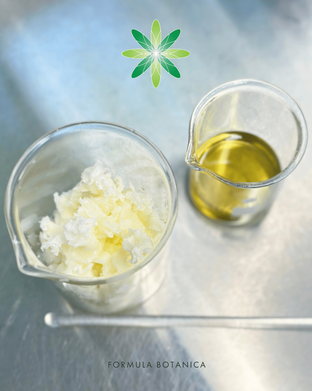 Is tallow really worth the hype? (And how to make your own tallow balm)
