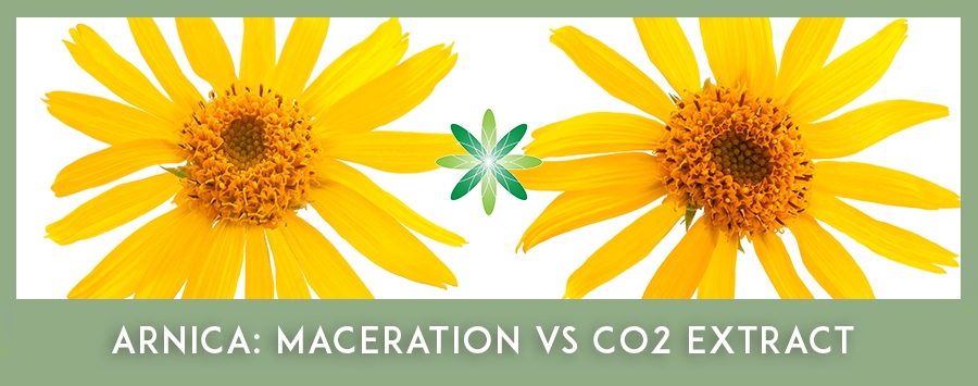 CO2 Extracts - Arnica