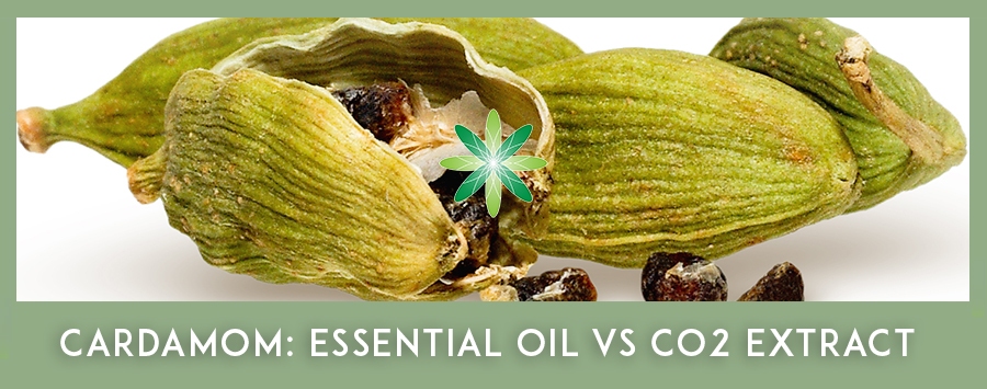 CO2 Extracts - Cardamom