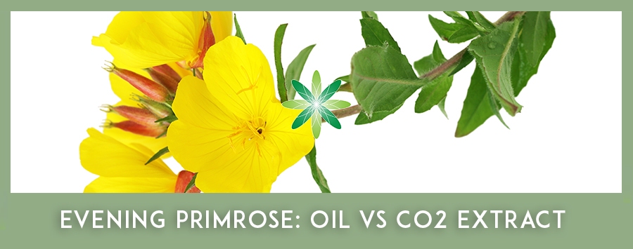 CO2 Extracts - Evening Primrose