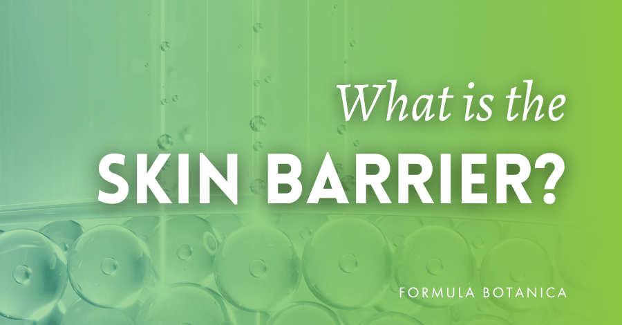 what is the skin barrier