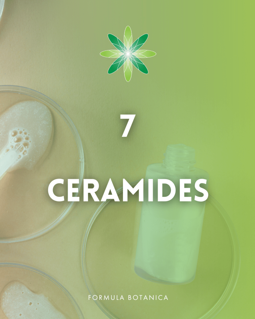 ceramides