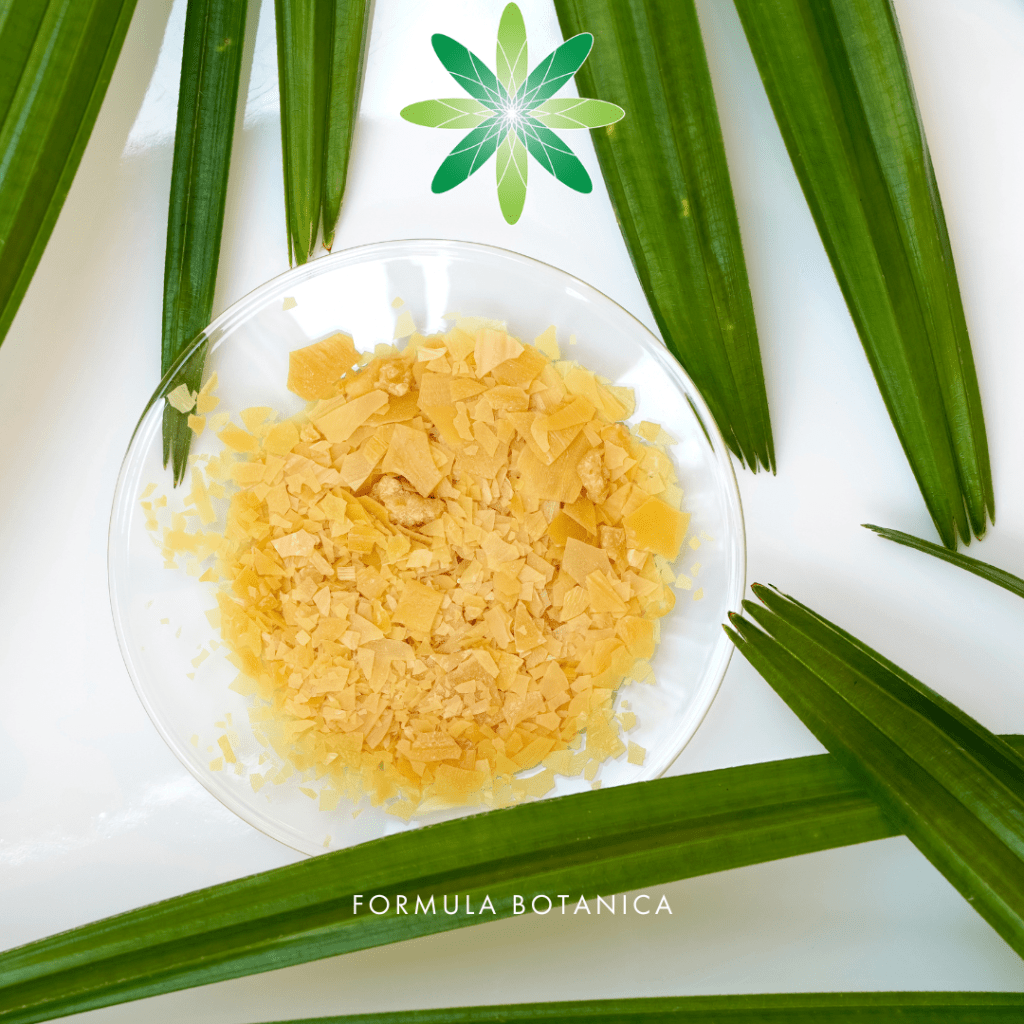 6 Vegan Waxes for Organic Cosmetic Formulations
