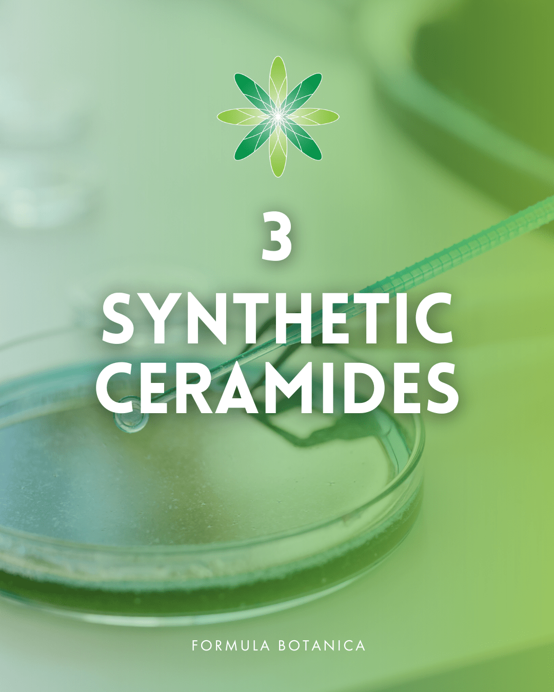Everything you need to know about ceramides – And how to formulate with them