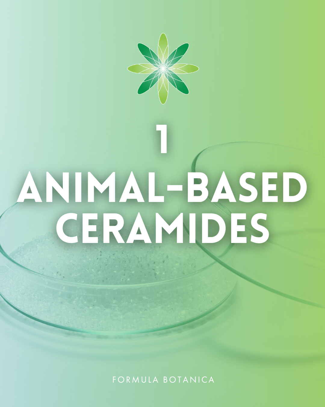 Everything you need to know about ceramides – And how to formulate with them