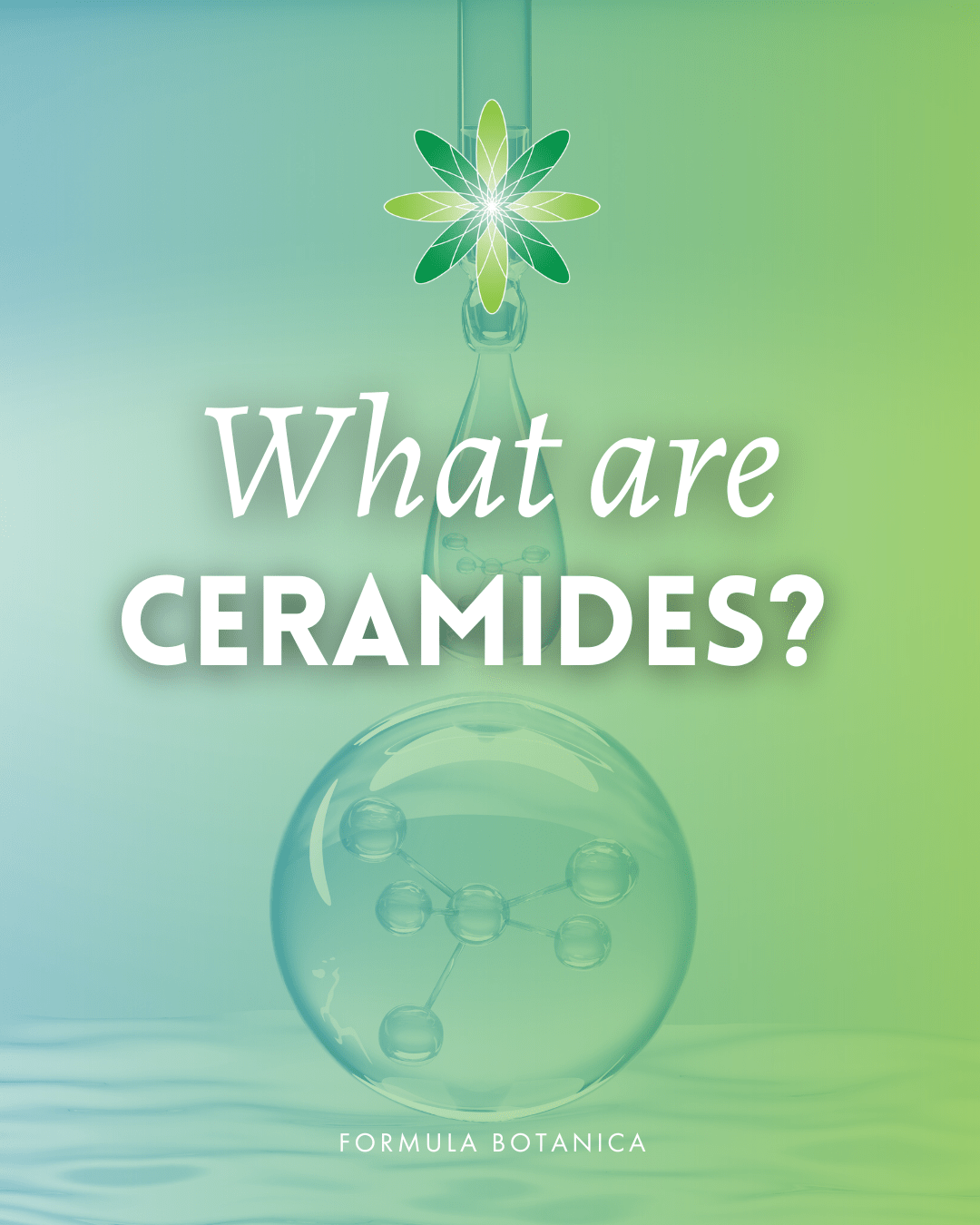 Everything you need to know about ceramides – And how to formulate with them