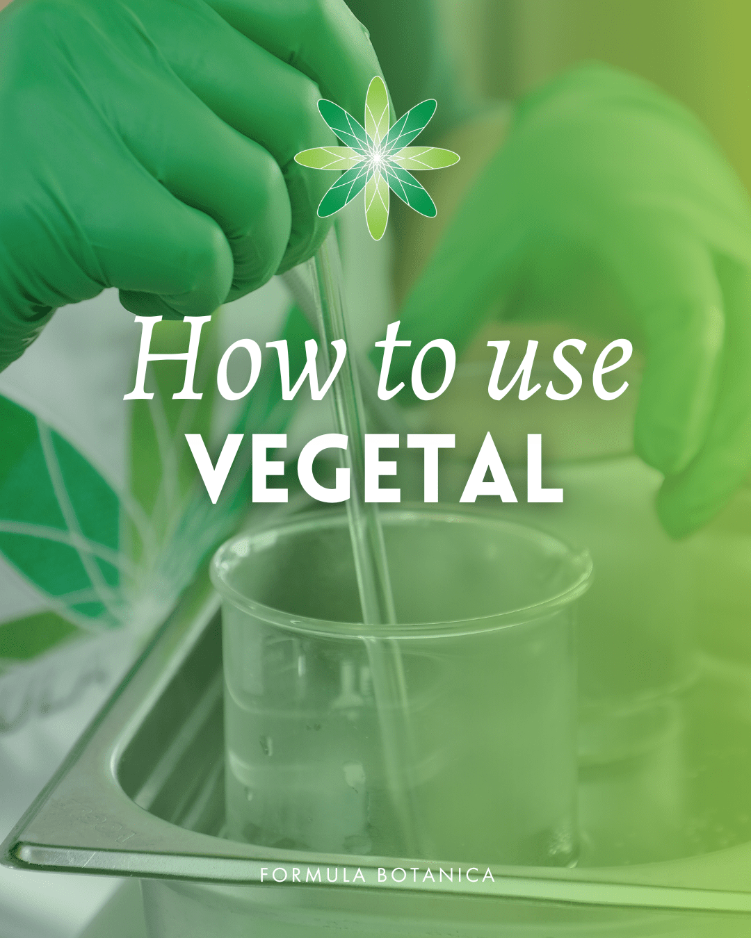 How to make an emulsion with Vegetal – Formulation 101