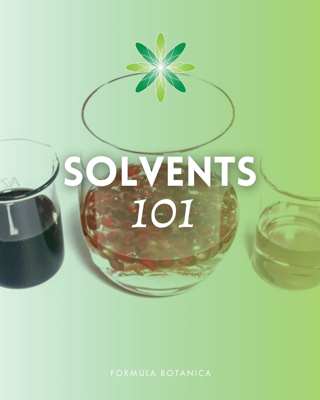 The formulator’s ultimate guide to glycerites (what they are & how to use them)