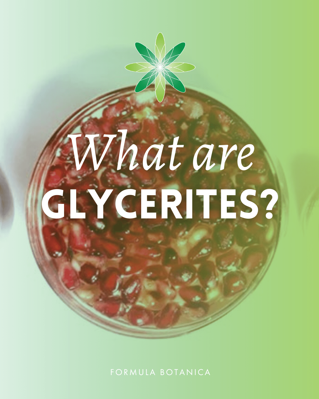The formulator’s ultimate guide to glycerites (what they are & how to use them)