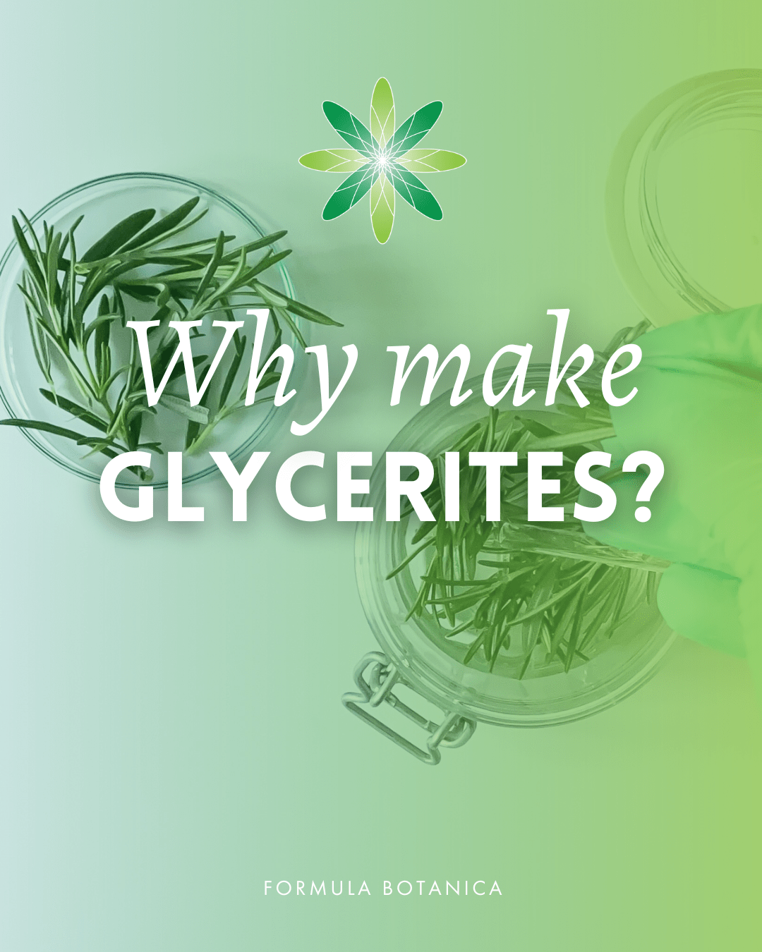 The formulator’s ultimate guide to glycerites (what they are & how to use them)