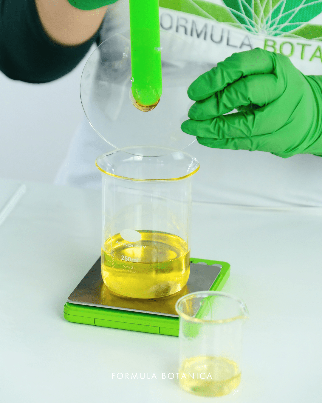 How to make a nourishing camellia cleansing oil
